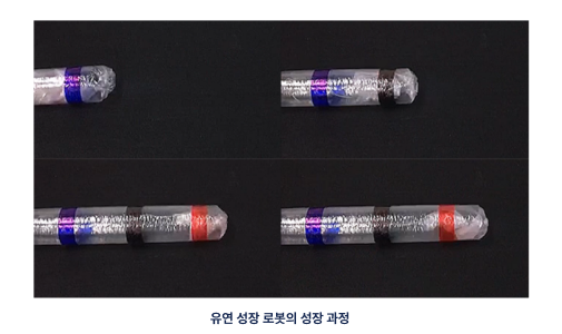 모사 나무뿌리 로봇 성장 장치 이미지-01