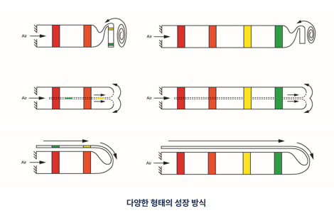 모사 나무뿌리 로봇 성장 장치 이미지-03